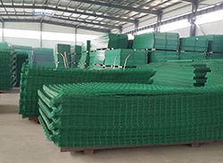 你知道荷蘭網是做什么的嗎